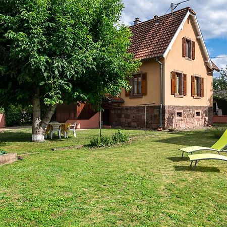 La Maison De Vacances De Colmar Et Son Jardin Villa Exterior foto