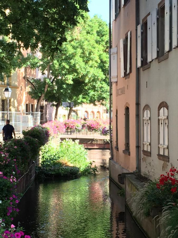 La Maison De Vacances De Colmar Et Son Jardin Villa Exterior foto