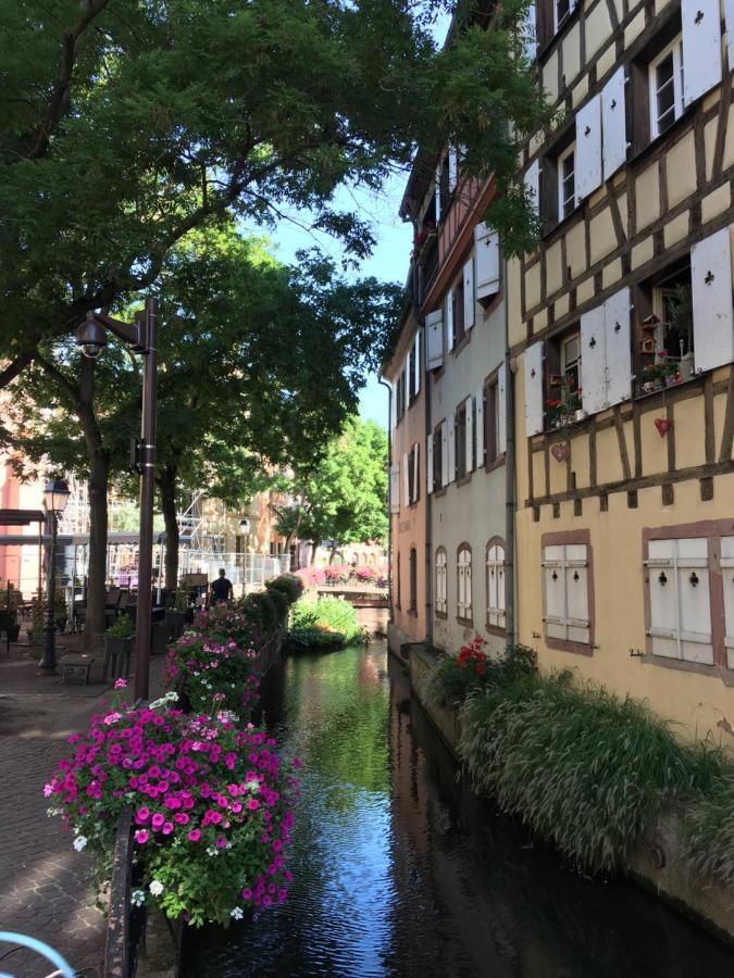 La Maison De Vacances De Colmar Et Son Jardin Villa Exterior foto