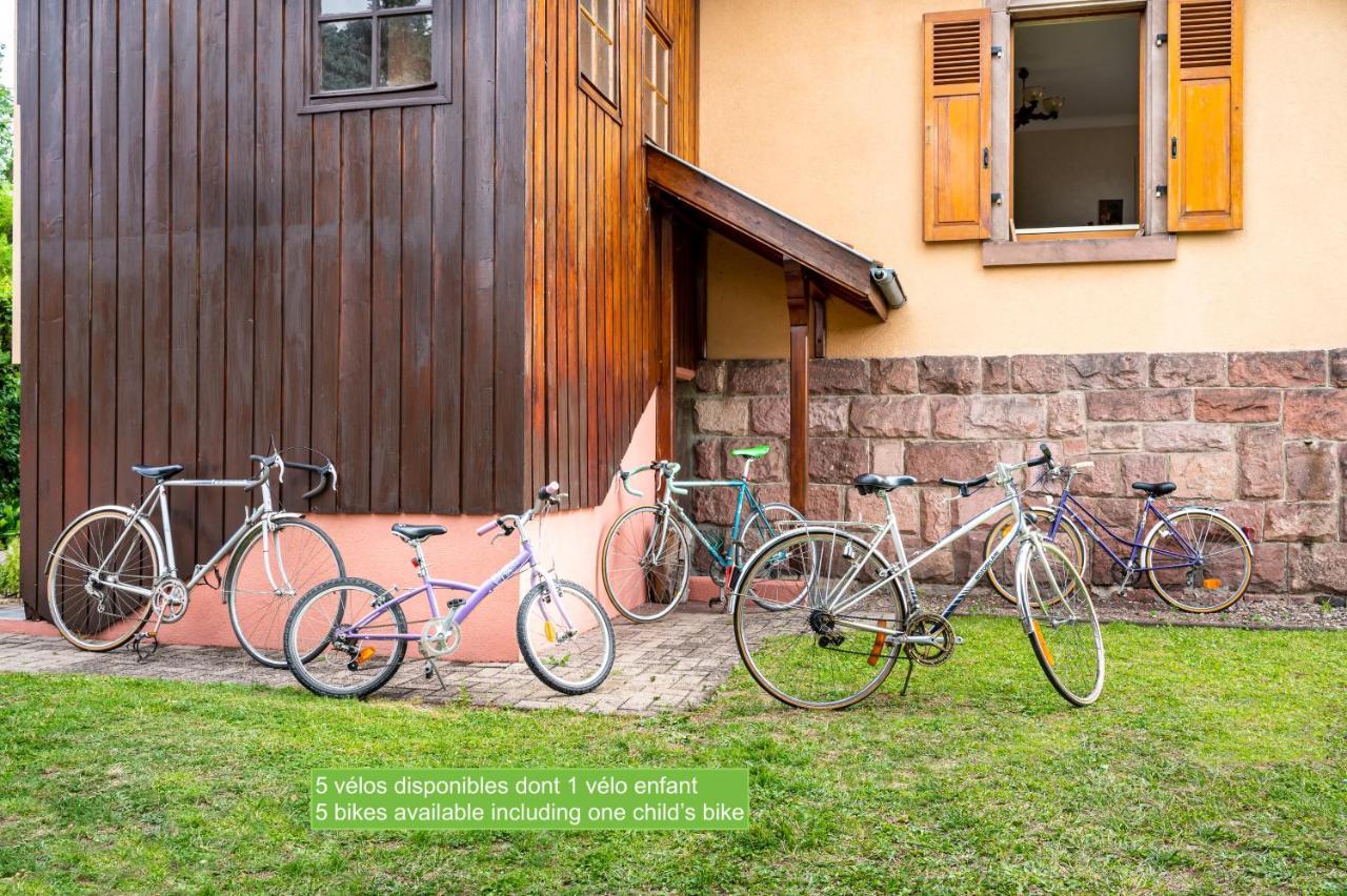 La Maison De Vacances De Colmar Et Son Jardin Villa Exterior foto